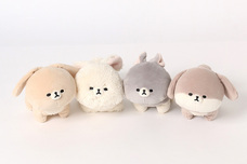 ブルーブルーエジャパン株式会社のプレスリリース画像2