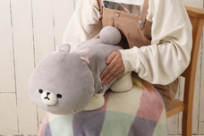 ブルーブルーエジャパン株式会社のプレスリリース画像6