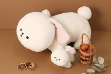 ブルーブルーエジャパン株式会社のプレスリリース画像8