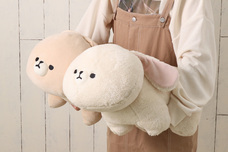 ブルーブルーエジャパン株式会社のプレスリリース画像7