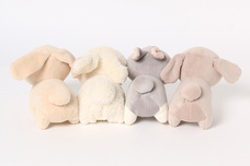 ブルーブルーエジャパン株式会社のプレスリリース画像4