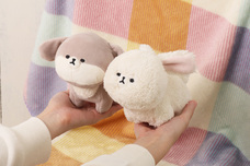 ブルーブルーエジャパン株式会社のプレスリリース画像3