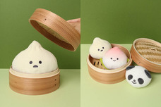 ブルーブルーエジャパン株式会社のプレスリリース画像6