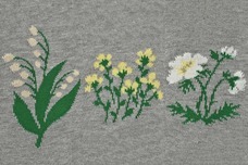 ブルーブルーエジャパン株式会社のプレスリリース画像8