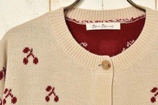 ブルーブルーエジャパン株式会社のプレスリリース画像5