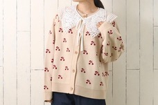 ブルーブルーエジャパン株式会社のプレスリリース画像4