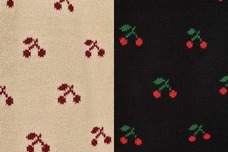 ブルーブルーエジャパン株式会社のプレスリリース画像3