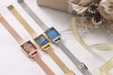 ブルーブルーエジャパン株式会社のプレスリリース画像1