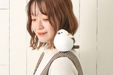 ブルーブルーエジャパン株式会社のプレスリリース画像8