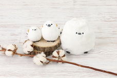 ブルーブルーエジャパン株式会社のプレスリリース画像11