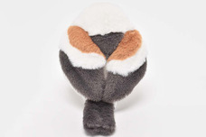 ブルーブルーエジャパン株式会社のプレスリリース画像7