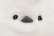 ブルーブルーエジャパン株式会社のプレスリリース画像3