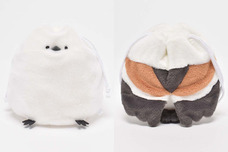 ブルーブルーエジャパン株式会社のプレスリリース画像2