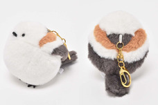 ブルーブルーエジャパン株式会社のプレスリリース画像9