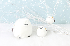 ブルーブルーエジャパン株式会社のプレスリリース画像1