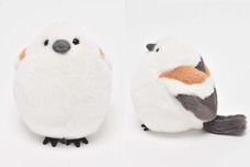 ブルーブルーエジャパン株式会社のプレスリリース画像6