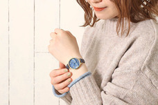 ブルーブルーエジャパン株式会社のプレスリリース画像6