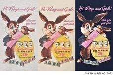 ブルーブルーエジャパン株式会社のプレスリリース画像3