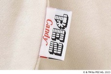 ブルーブルーエジャパン株式会社のプレスリリース画像9