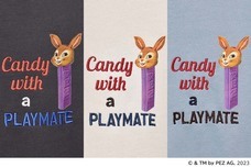 ブルーブルーエジャパン株式会社のプレスリリース画像7