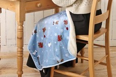 ブルーブルーエジャパン株式会社のプレスリリース画像10