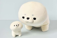 ブルーブルーエジャパン株式会社のプレスリリース画像11