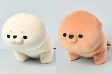 ブルーブルーエジャパン株式会社のプレスリリース画像3