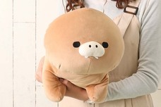 ブルーブルーエジャパン株式会社のプレスリリース画像7