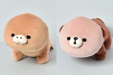 ブルーブルーエジャパン株式会社のプレスリリース画像4