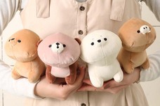 ブルーブルーエジャパン株式会社のプレスリリース画像10