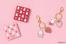 ブルーブルーエジャパン株式会社のプレスリリース画像9