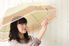 ブルーブルーエジャパン株式会社のプレスリリース画像13