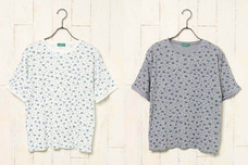 ブルーブルーエジャパン株式会社のプレスリリース画像11