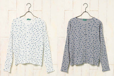 ブルーブルーエジャパン株式会社のプレスリリース画像10