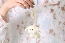 ブルーブルーエジャパン株式会社のプレスリリース画像8