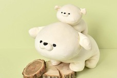 ブルーブルーエジャパン株式会社のプレスリリース画像3