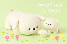 ブルーブルーエジャパン株式会社のプレスリリース画像1