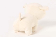 ブルーブルーエジャパン株式会社のプレスリリース画像5