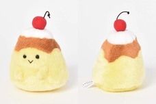 ブルーブルーエジャパン株式会社のプレスリリース画像6