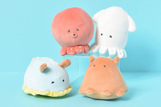 ブルーブルーエジャパン株式会社のプレスリリース画像4