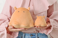 ブルーブルーエジャパン株式会社のプレスリリース画像5