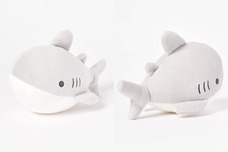 ブルーブルーエジャパン株式会社のプレスリリース画像5