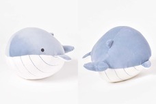 ブルーブルーエジャパン株式会社のプレスリリース画像4