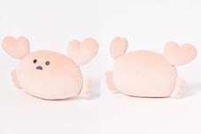 ブルーブルーエジャパン株式会社のプレスリリース画像6