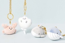 ブルーブルーエジャパン株式会社のプレスリリース画像10