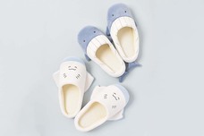 ブルーブルーエジャパン株式会社のプレスリリース画像12