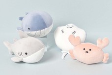 ブルーブルーエジャパン株式会社のプレスリリース画像8