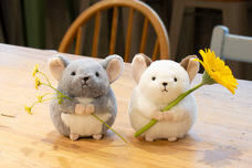 ブルーブルーエジャパン株式会社のプレスリリース画像9