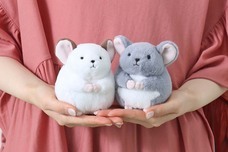 ブルーブルーエジャパン株式会社のプレスリリース画像6