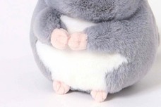 ブルーブルーエジャパン株式会社のプレスリリース画像4